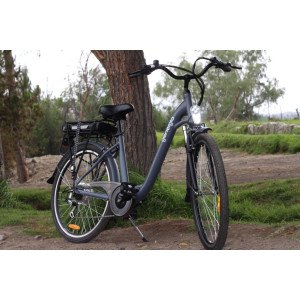 BICICLETA 26 ELECTRICA LN 26C06 250W 36V10AH