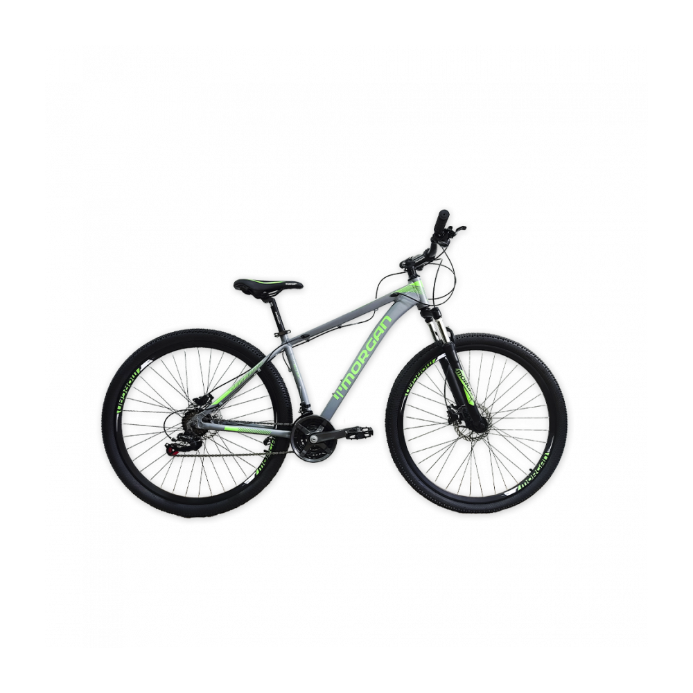 BICICLETA 29 MORGAN GRIS-VERDE 21V C/FRENOS HIDRAULICOS