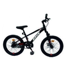 BICICLETA 20 MODELO POLO PAWSOON