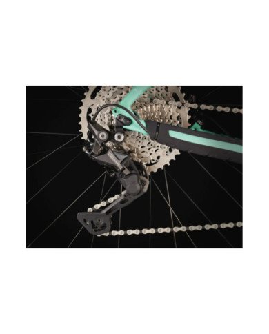 BICICLETA 29 TREK MARLIN 6 GEN 3 2024 VERDE