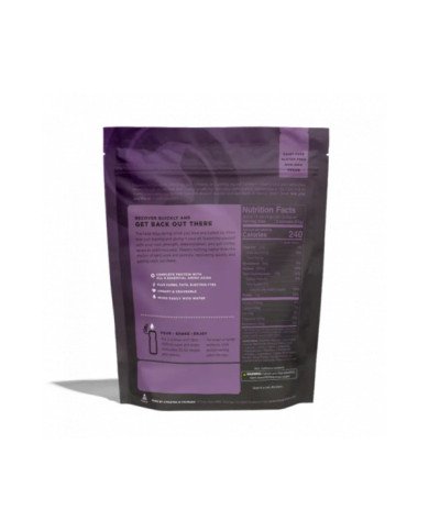 RECOVERY MIX CHOCOLATE 911GR TAILWIND