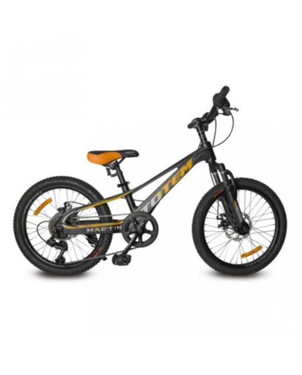 BICICLETA 20 NEW TOTEM