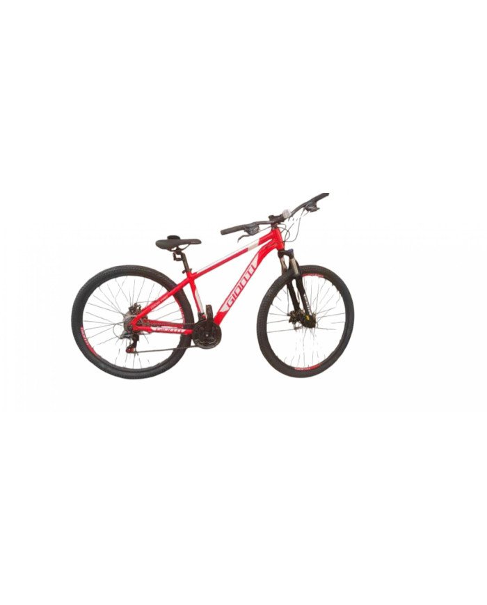 BICICLETA 29 MTB GIONTI SPORT