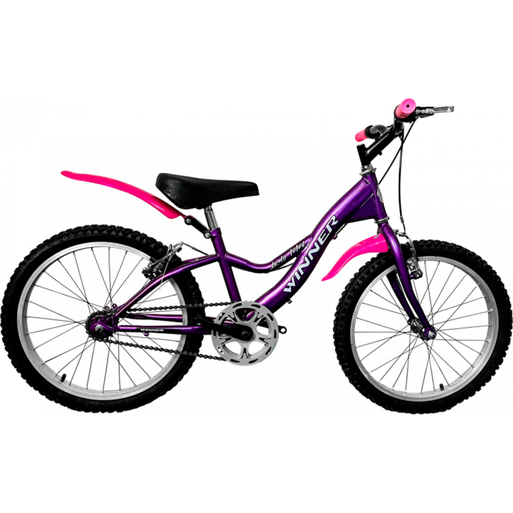 BICICLETA NACIONAL 20 ALUMI ECO