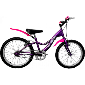 BICICLETA NACIONAL 20 ALUMI ECO