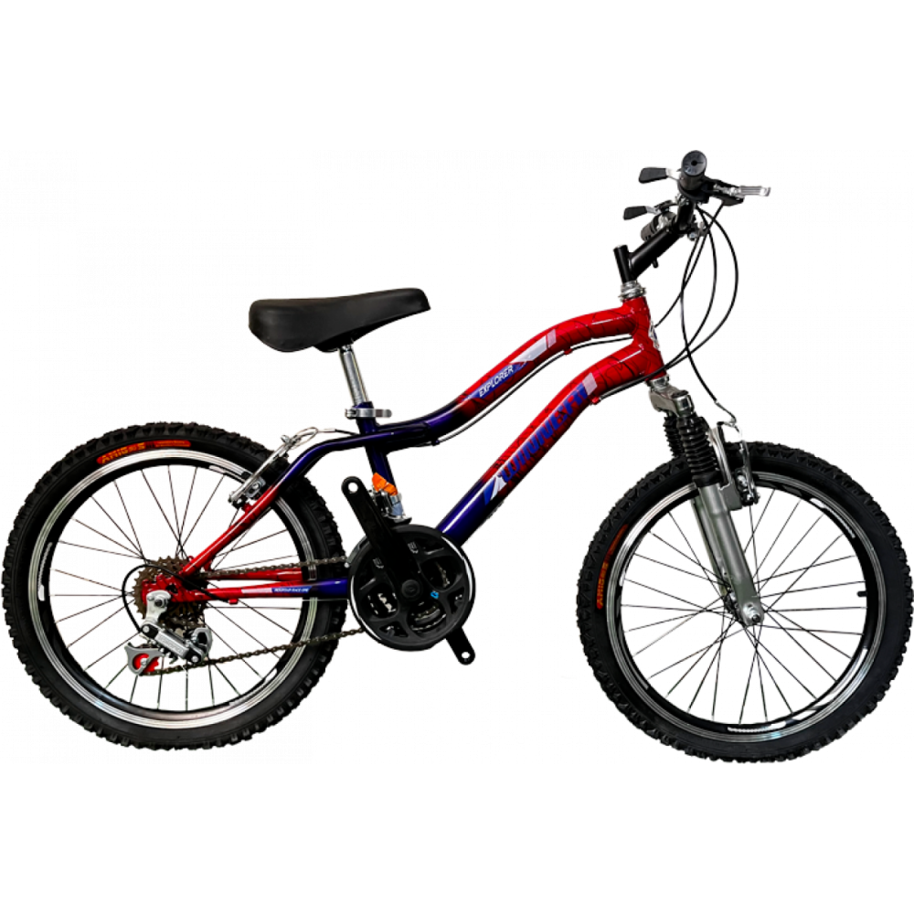 BICICLETA NACIONAL 20 TUBULAR CAMB SUSP/DEL