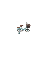 BICICLETA 12 PAWSOON CANDY