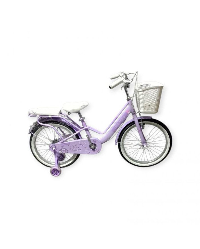 BICICLETA 20 PREMIER CAMPERA TK-2027-CA-BK