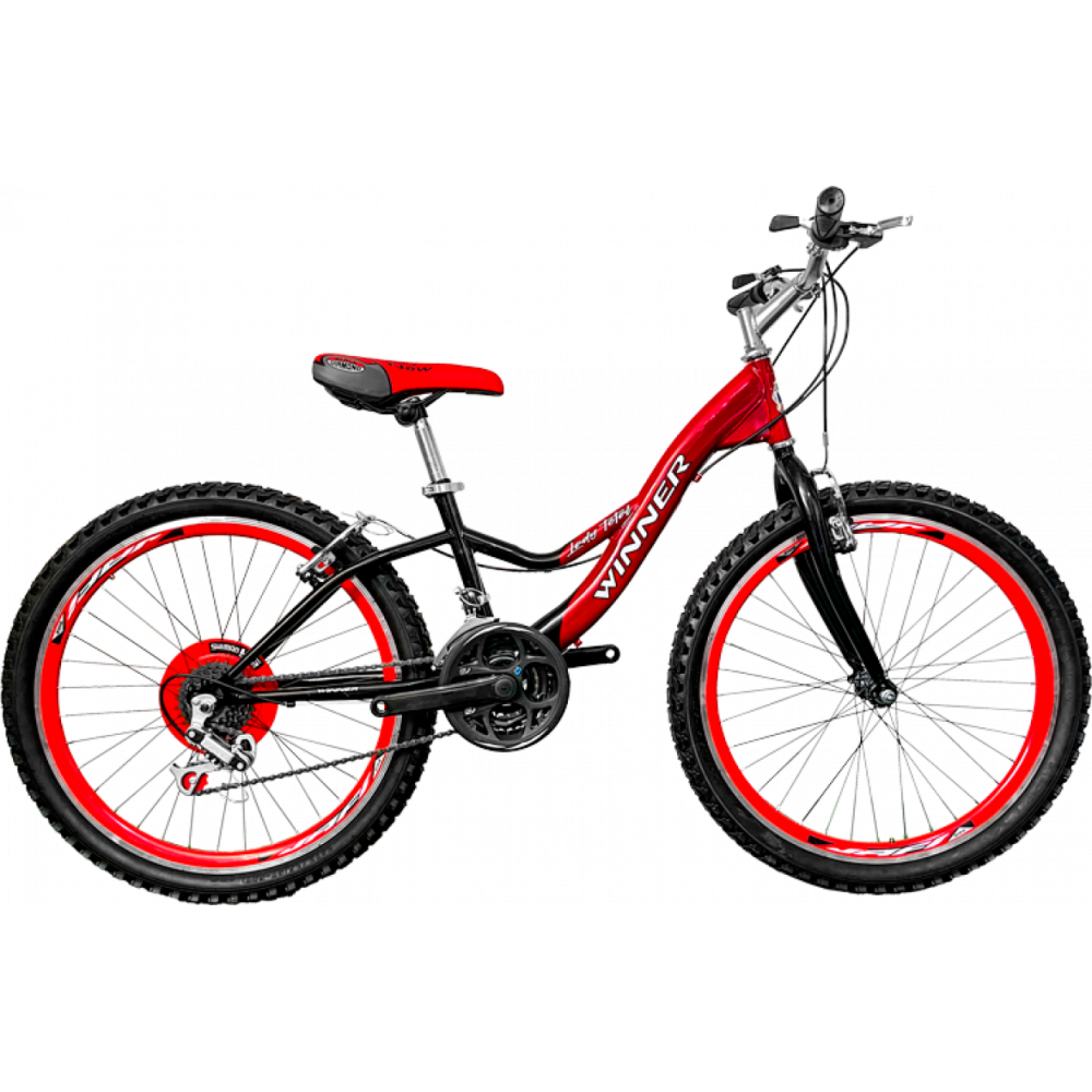 BICICLETA NACIONAL 24 TUBULAR KT1