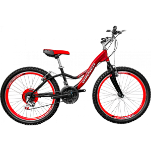 BICICLETA NACIONAL 24 TUBULAR KT1