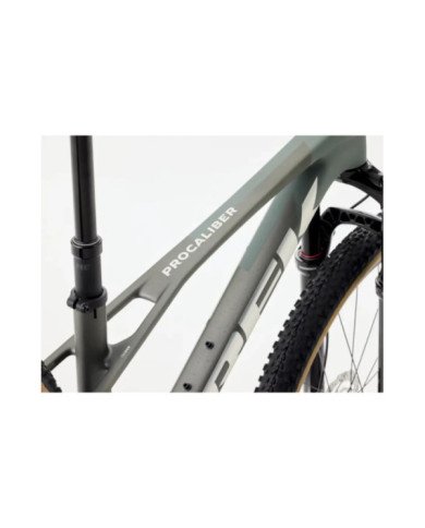 BICICLETA 29 TREK PROCALIBER 9.5 GEN 3 2026 VERDE