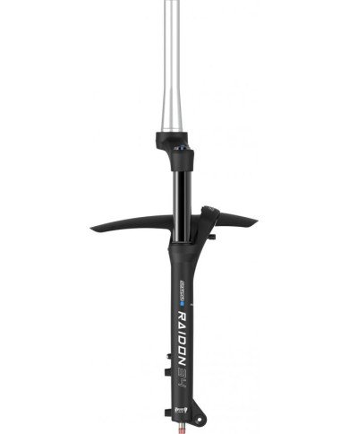 SUSPENSION HORQUILLA SUNTOUR SF25-RAIDON34X-BOOST EQ R-2CR DS 15LH-110 29"