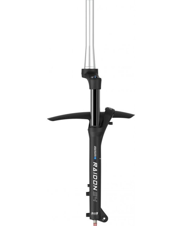 SUSPENSION HORQUILLA SUNTOUR SF25-RAIDON34X-BOOST EQ R-2CR DS 15LH-110 29"