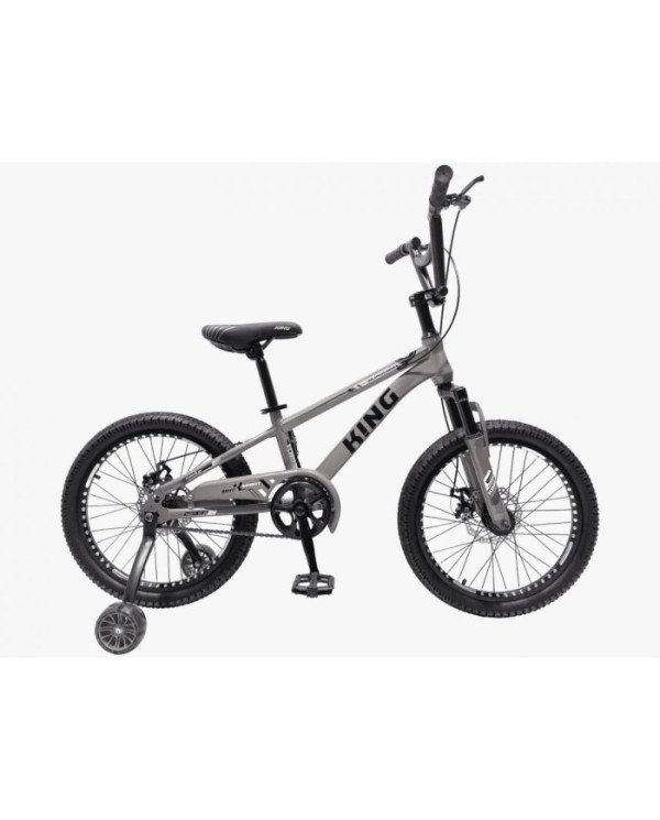 BICICLETA 20 KING SILVER KG20SILV