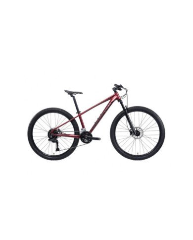 BICICLETA 29 SUNPEED ZERO 3 10V CUES