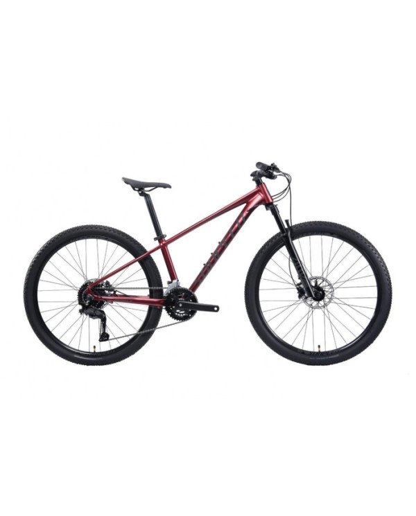 BICICLETA 29 SUNPEED ZERO 3 10V CUES