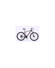 BICICLETA 29 21V EVANZ MTB