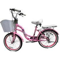 BICICLETA 20 PREMIER 2001-LX CAMPERA